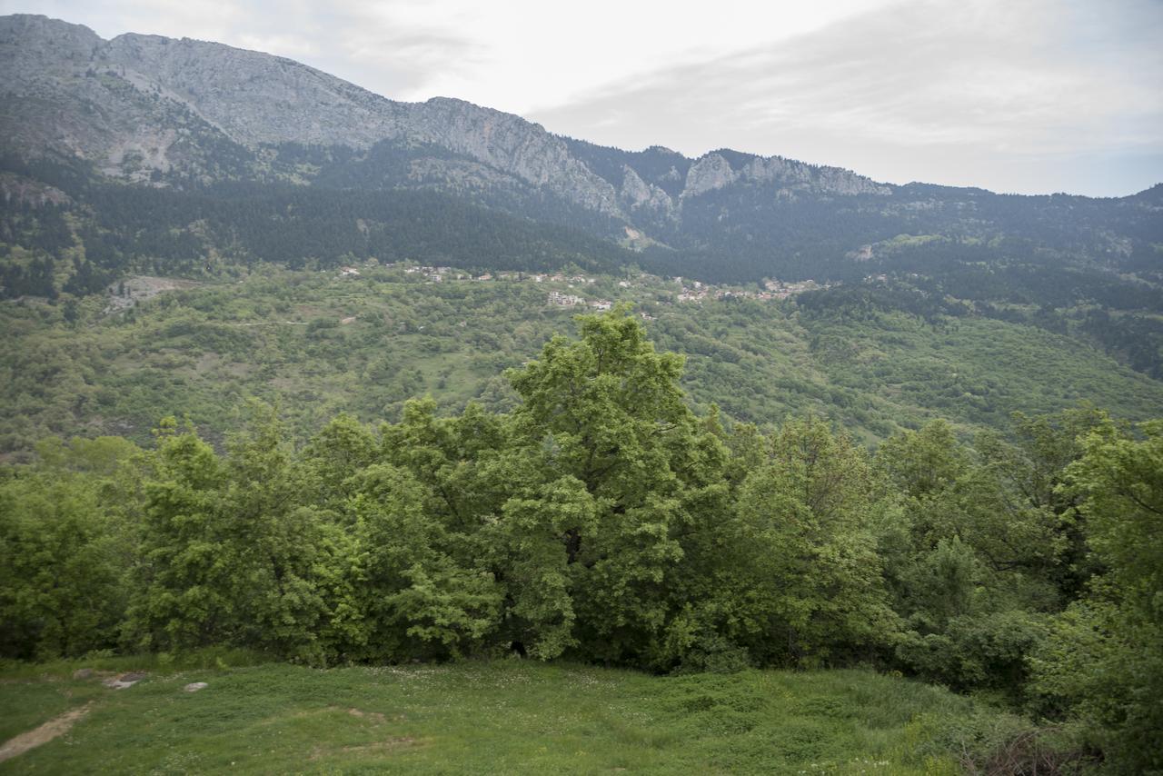 Archontiko Christodoulou Aparthotel Vronterón Exteriör bild